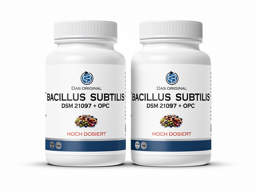 Bacillus subtilis DSM 21097 (2 x 90 Capsules ) Value Pack