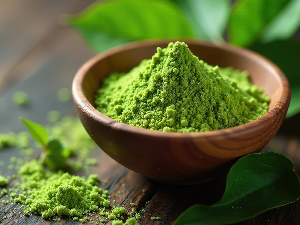 Moringa Blattpulver – 100 g / 500 g | Premiumqualität (MoringaGarden)