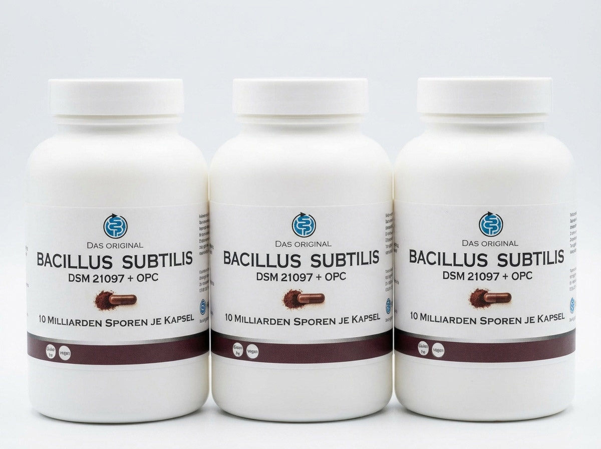 Bacillus subtilis DSM 21097 (3 × 90 Kapseln) Vorteilspaket
