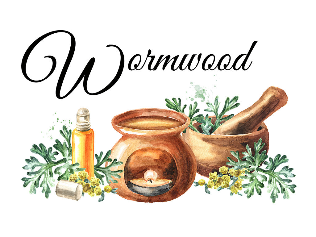 Artemisia annua gesneden bladeren – 100 g / 500 g (Grondstof)