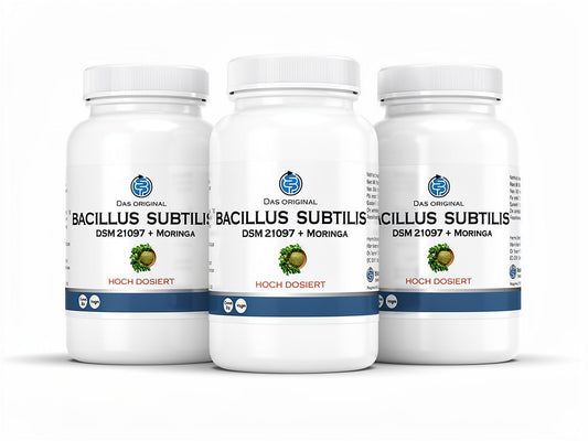 Bacillus subtilis DSM 21097 (3 × 90 Kapseln) Vorteilspaket