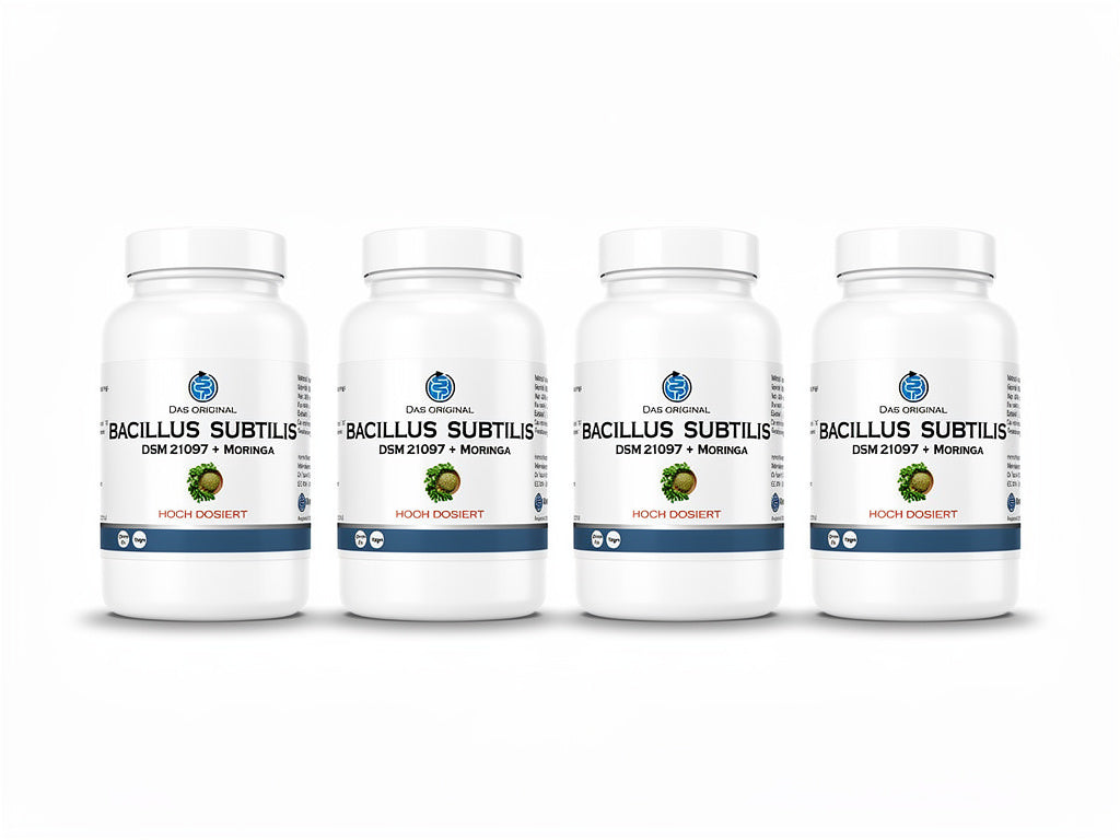 Bacillus subtilis DSM 21097 (4 x 90 capsules) Value Pack 