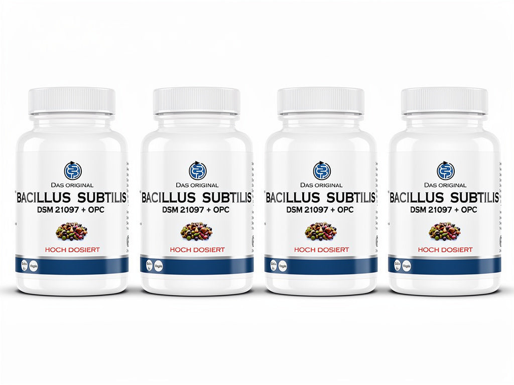 Bacillus subtilis DSM 21097 (4 x 90 capsules) Value Pack 