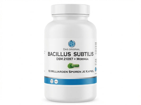 Bacillus subtilis DSM 21097 mit Moringa