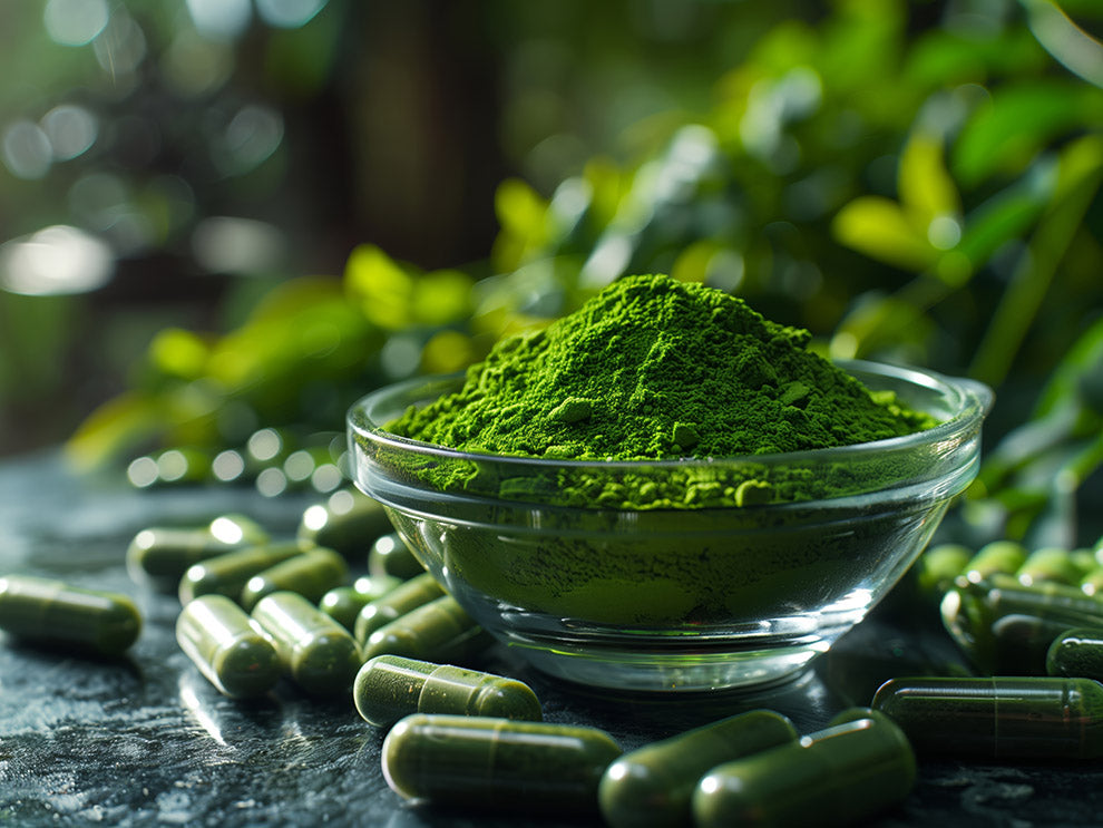 Moringa Kapseln – Blattauslese | 100 oder 300 Kapseln